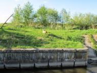 Матвіївці - Останні фото