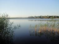 Гвоздавка Друга з panoramio.com