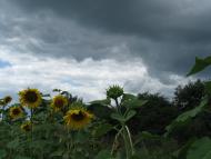 Смичин з panoramio.com