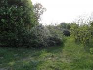 Красний Бір з panoramio.com