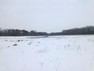 Миколаївське з panoramio.com