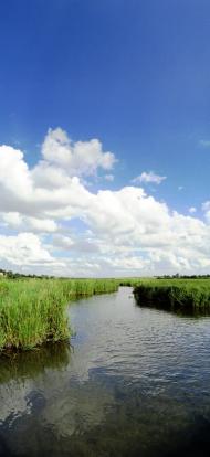 Твориничі з panoramio.com