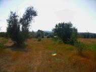 Поштове з panoramio.com