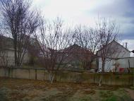 Скалисте з panoramio.com