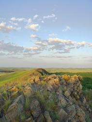 Черемшине з panoramio.com