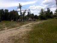 Верба з panoramio.com