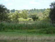 Климентове з panoramio.com