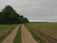 Дмитренки з panoramio.com