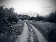 Степне з panoramio.com