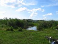 Річка Харків в Циркунах.