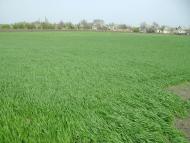 Барвиновка