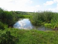 Річка Харків в Циркунах.