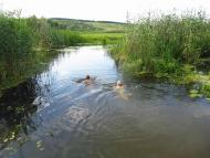 Річка Харків в Циркунах.