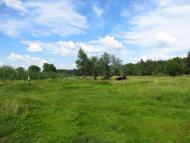 Річка Харків в Циркунах.