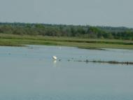 Барвиновка