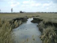 Барвиновка