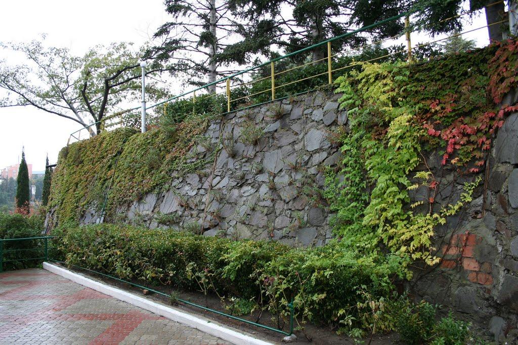 Лазурне з panoramio.com - Lazurne