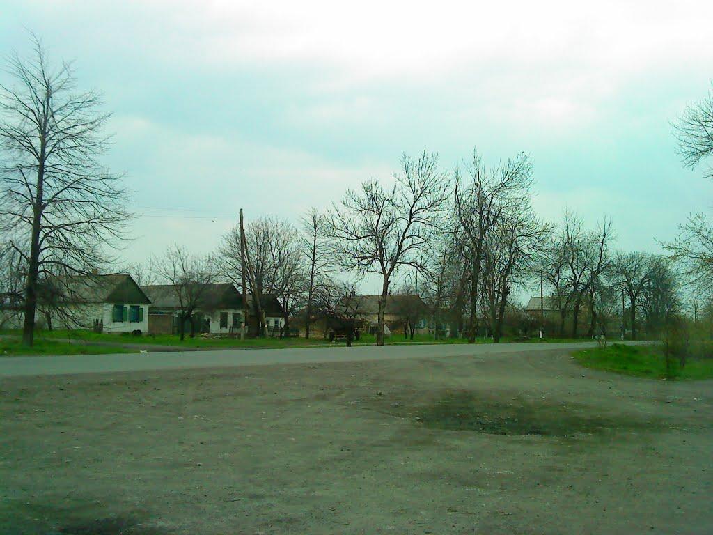 Чорнухине з panoramio.com - Чорнухине