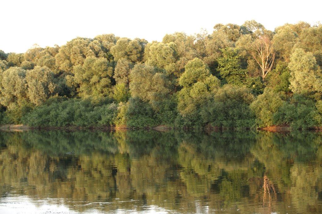 Черешеньки з panoramio.com - Chereshenky