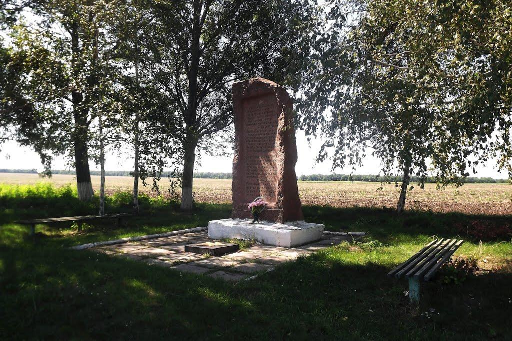 Новомиргород з panoramio.com - Novomyrhorod