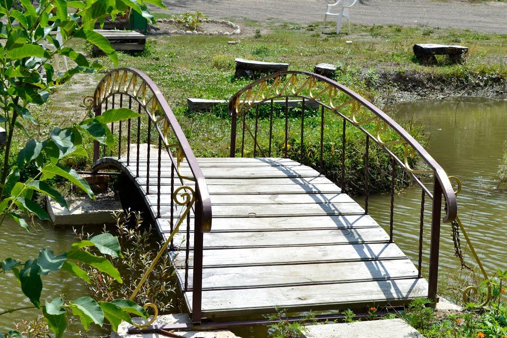 Голубинка з panoramio.com - Голубинка