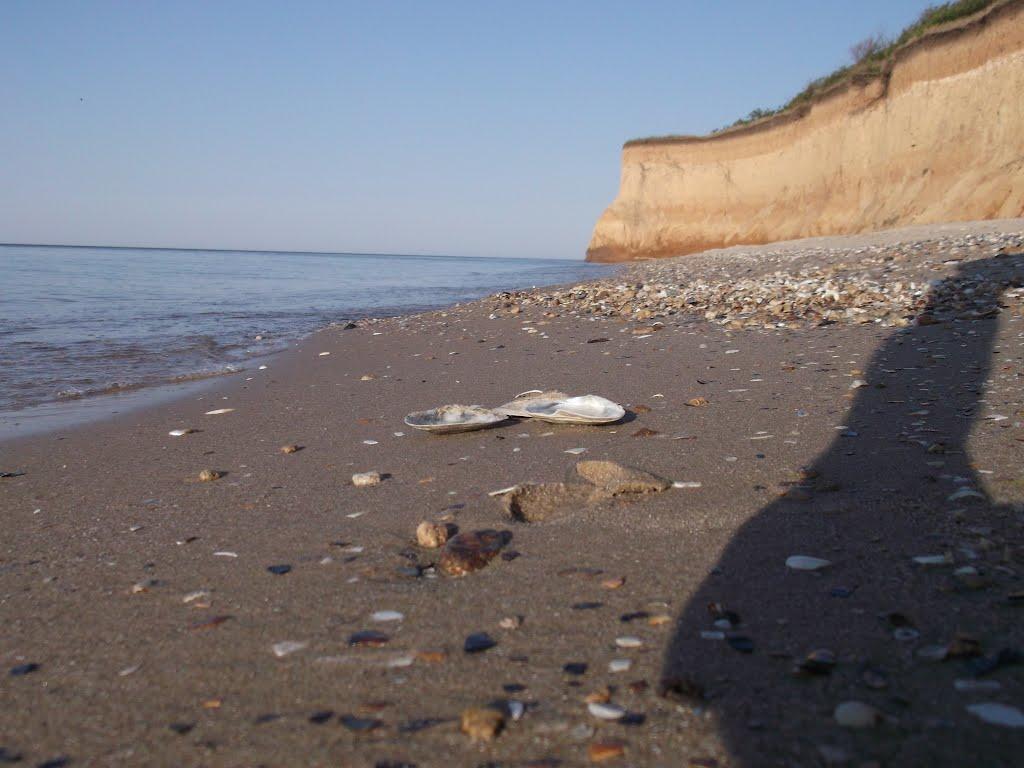 Лебедівка з panoramio.com - Лебедівка