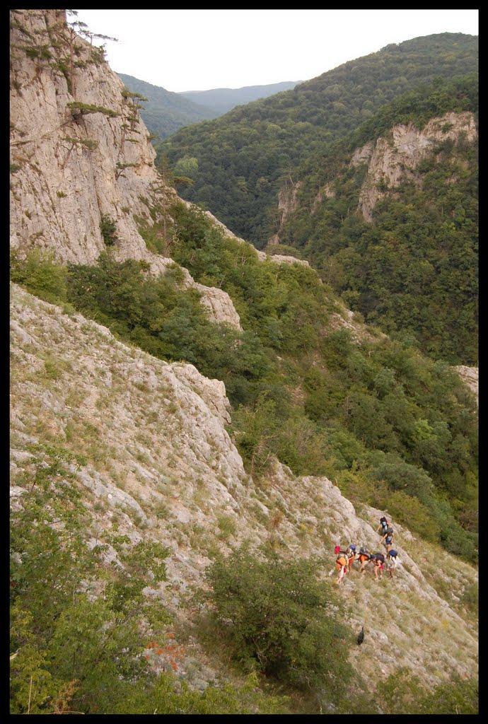 Богатир з panoramio.com - Богатир