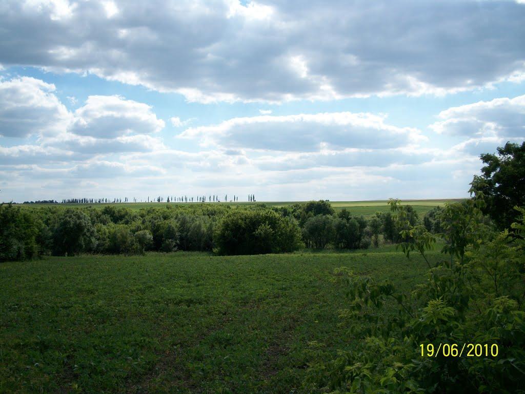 Запашка з panoramio.com - Запашка