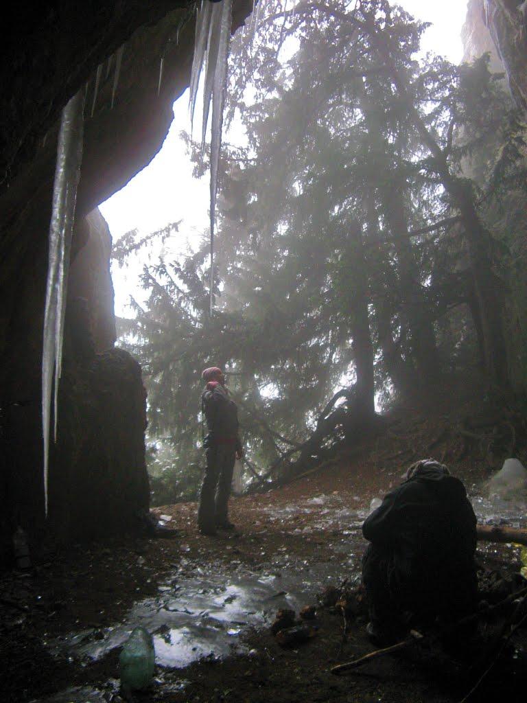 Лаванда з panoramio.com (ч.2) - Лаванда