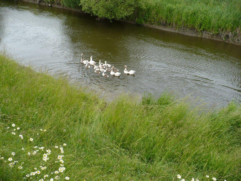 Бруслинів з panoramio.com - Бруслинів