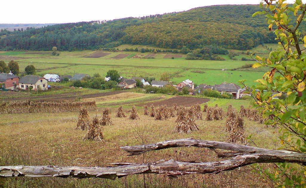 Рогачин з panoramio.com - Рогачин