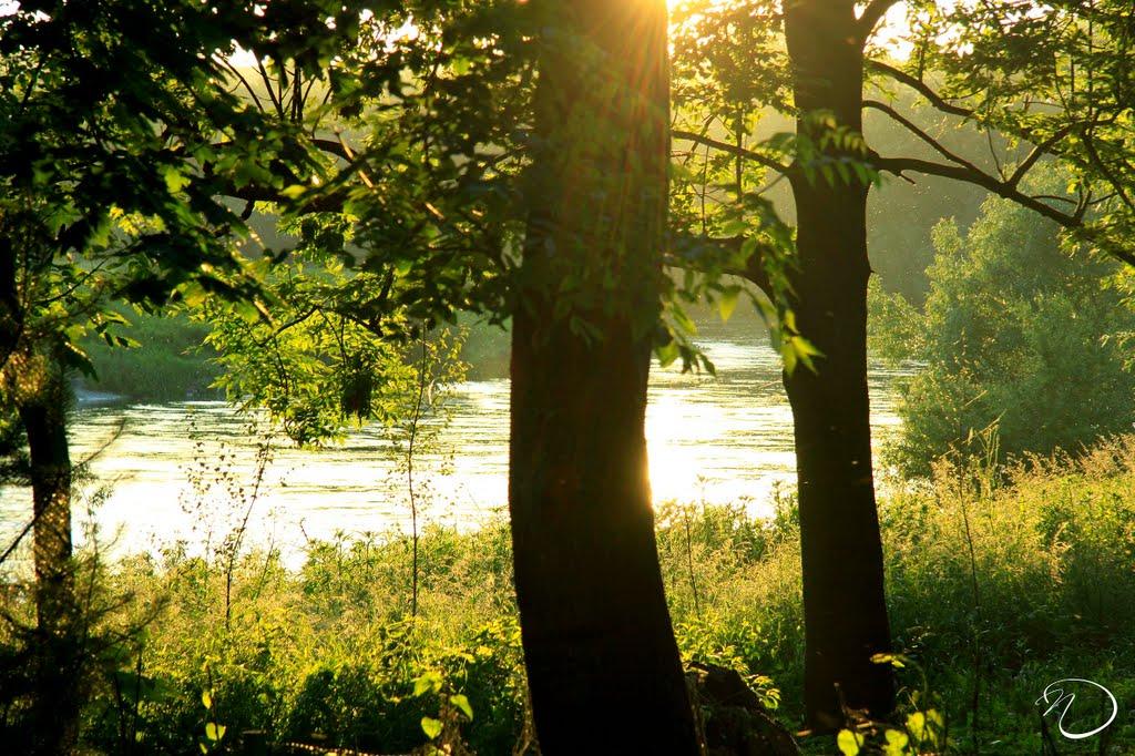 Циків з panoramio.com - Цыков