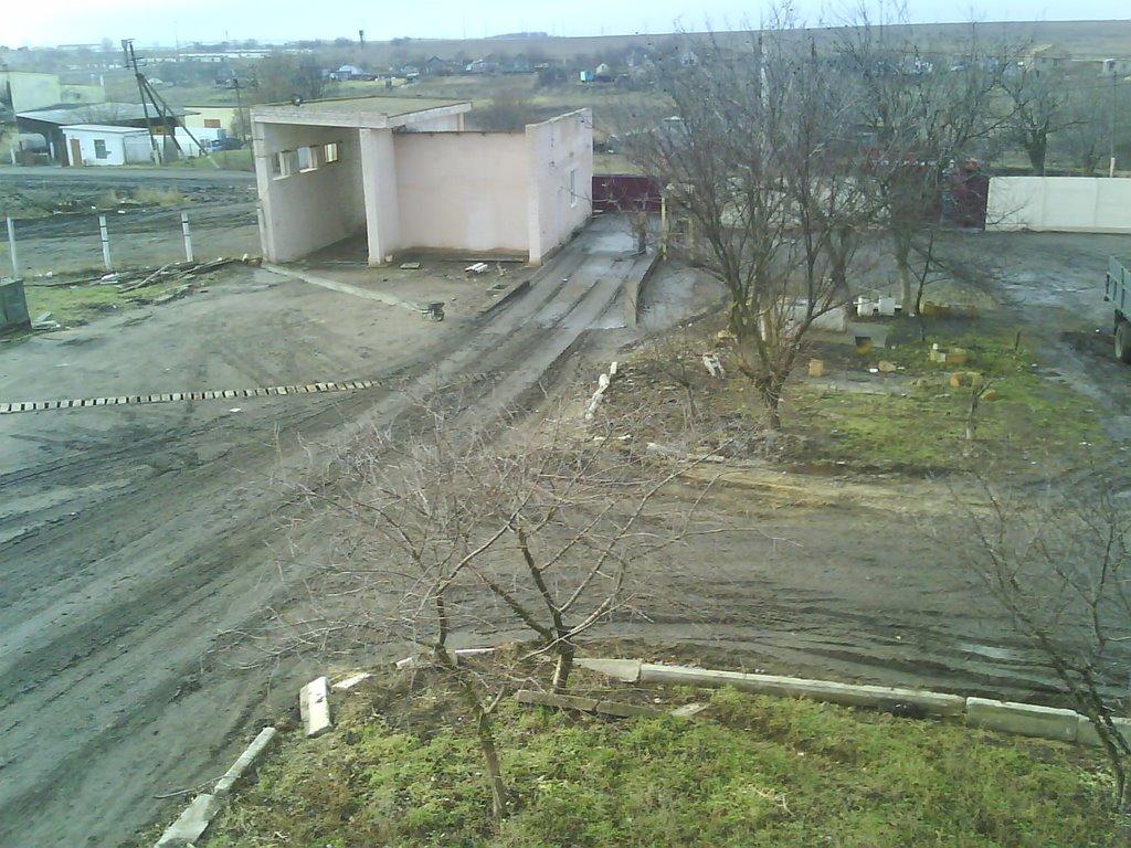 Комінтернівське з panoramio.com - Комінтернівське