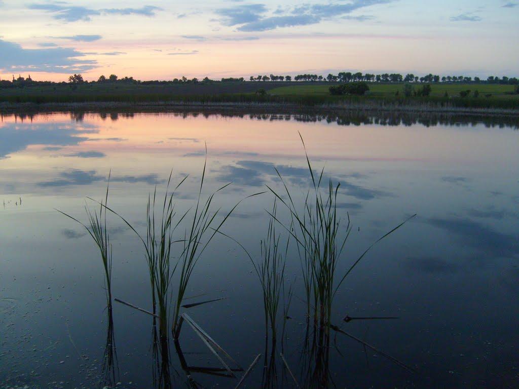 Мошорине з panoramio.com - Мошорине