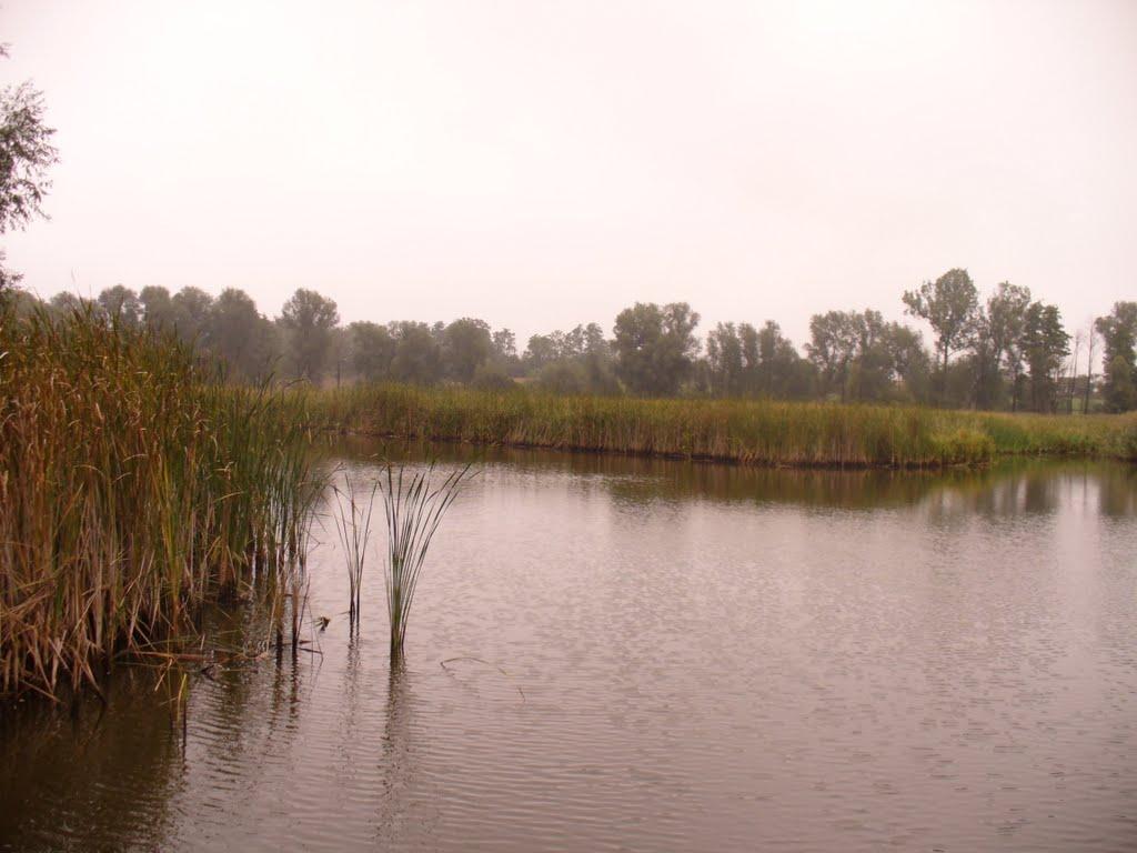 Коси з panoramio.com - Коси