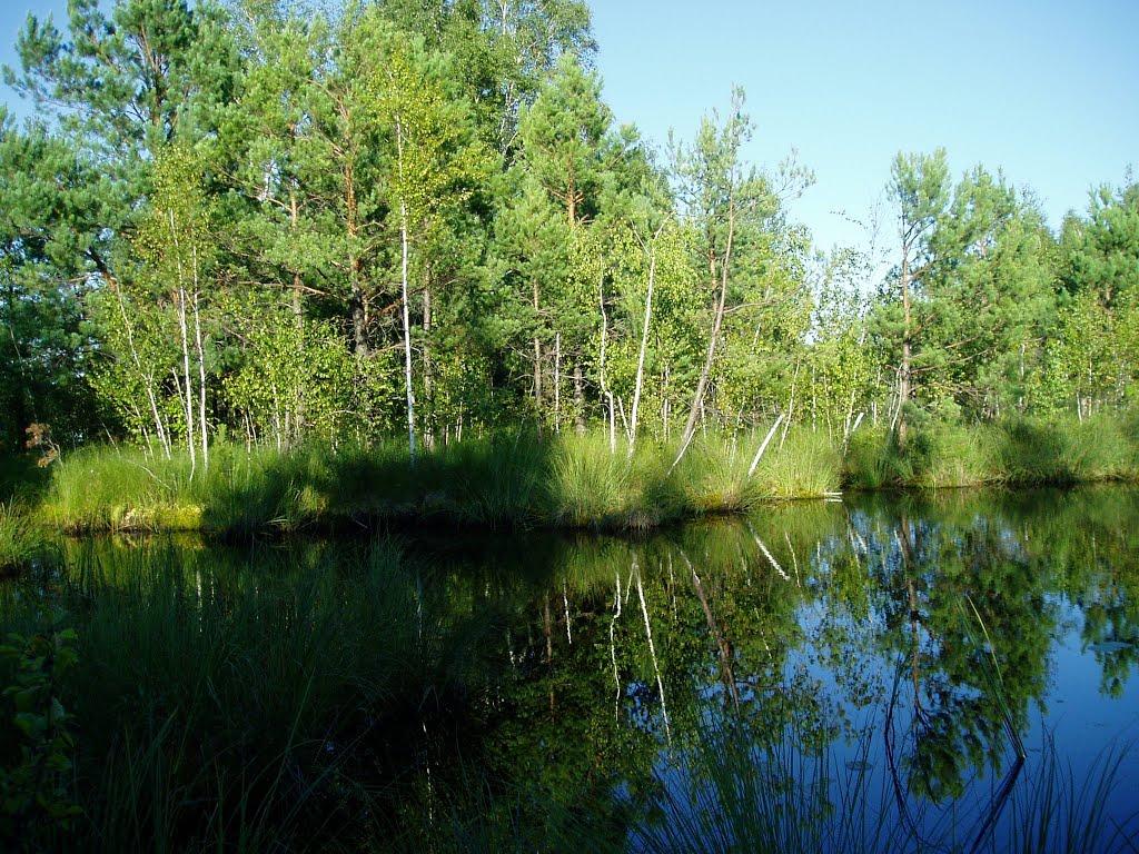 Ігнатпіль з panoramio.com - Игнатполь