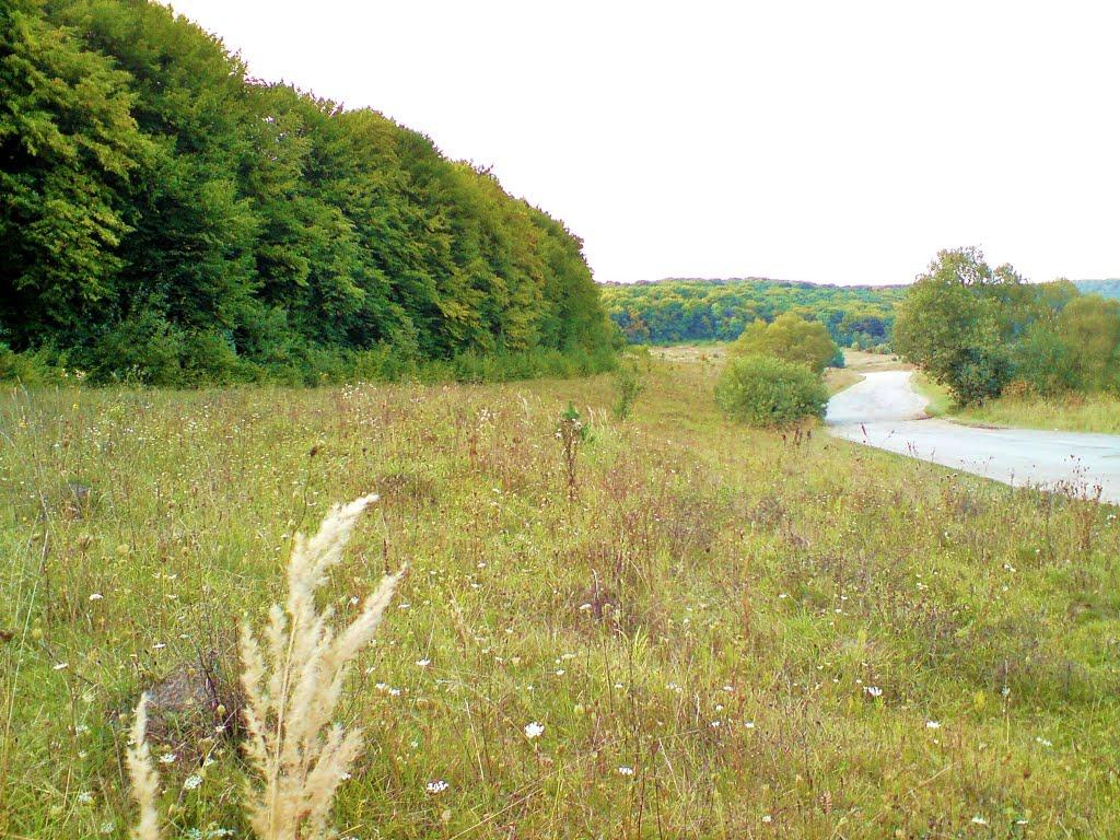 Рогачин з panoramio.com - Рогачин