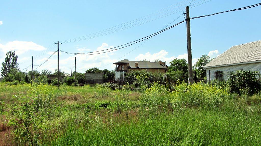 Тернуватий Кут з panoramio.com (ч.2) - Тернуватый Кут