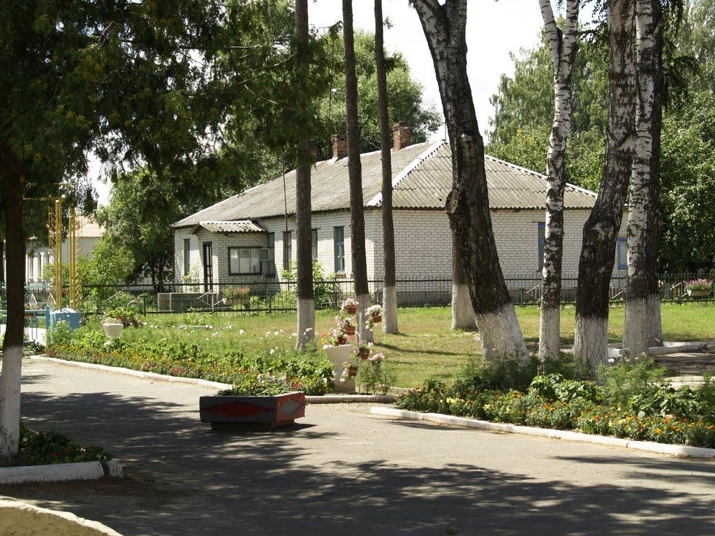 Черешеньки з panoramio.com - Черешеньки