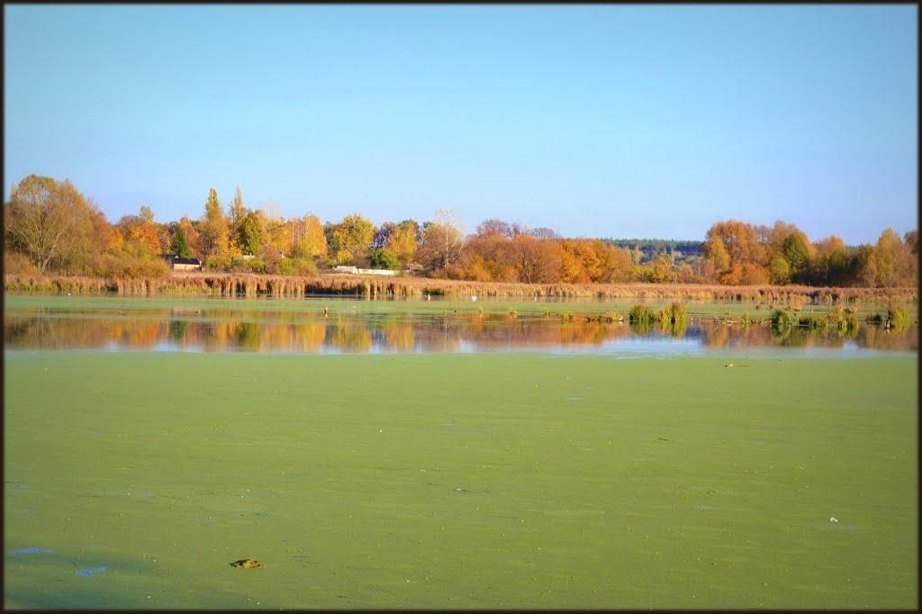 Рябушки з panoramio.com - Рябушки