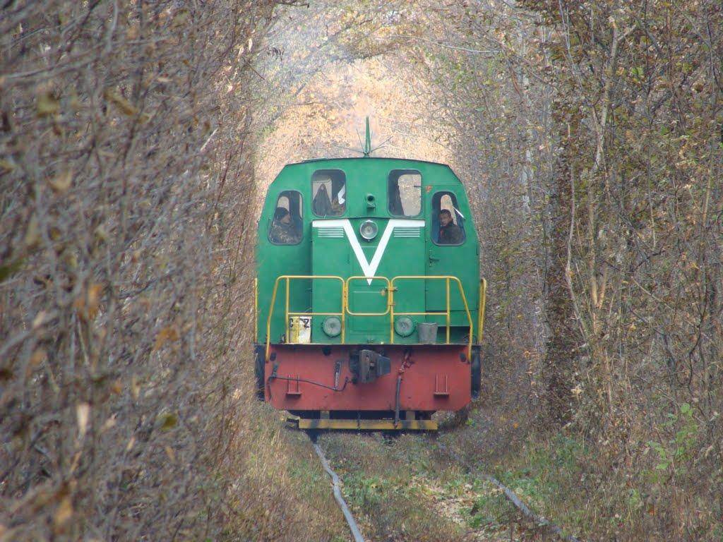 Клевань з panoramio.com - Клевань