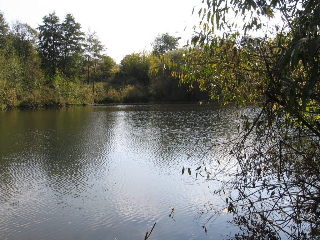 Гавришівка з panoramio.com - Гавришівка