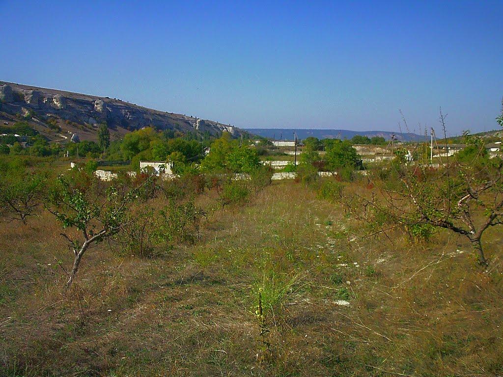 Красний Мак з panoramio.com - Красный Мак