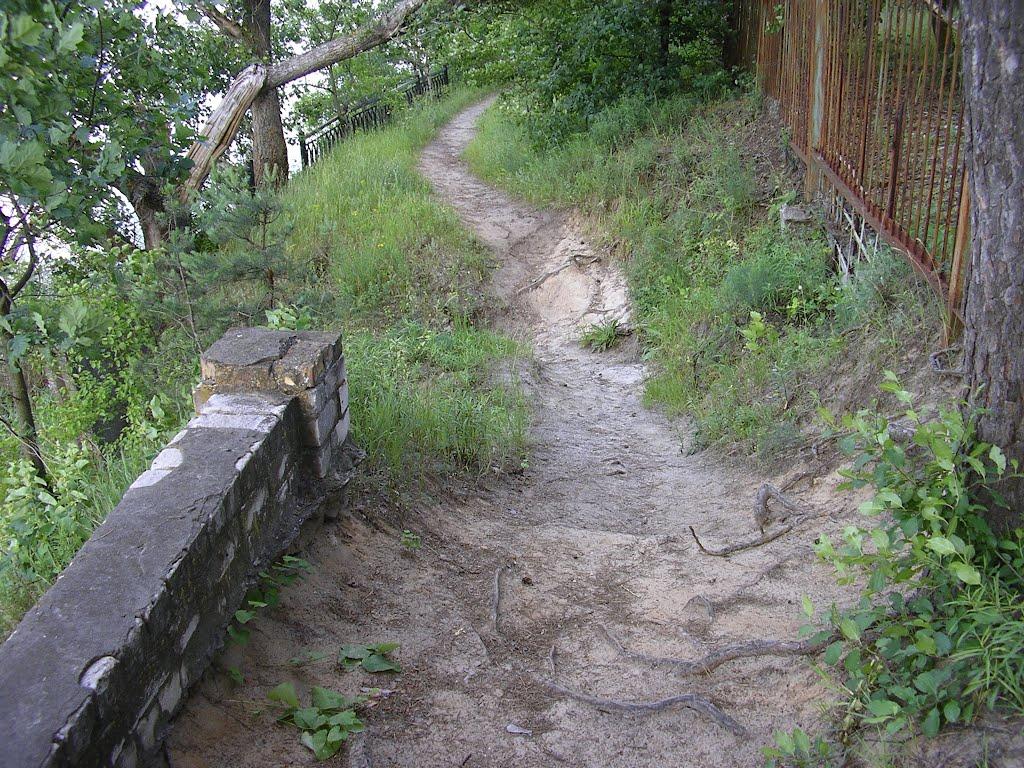 Орлівщина з panoramio.com - Орловщина