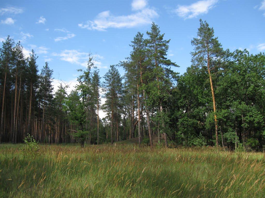 Старий Караван з panoramio.com - Старий Караван