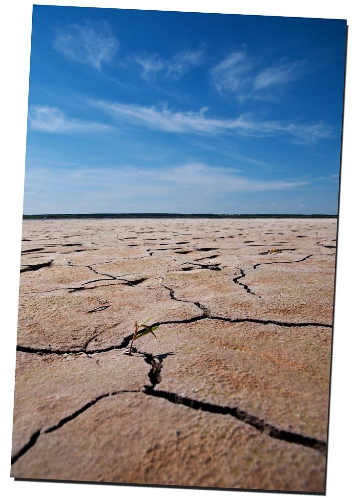 Старий Айдар з panoramio.com - Старий Айдар