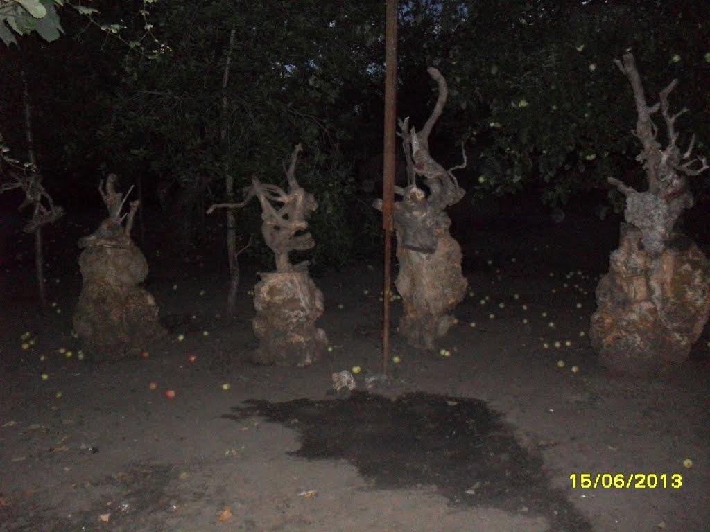 Коршачина з panoramio.com - Коршачина