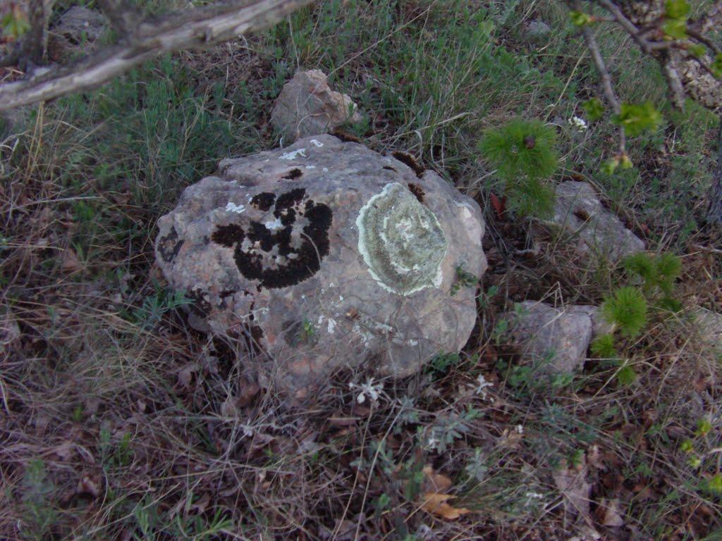 Чайковське з panoramio.com (ч.2) - Чайковское