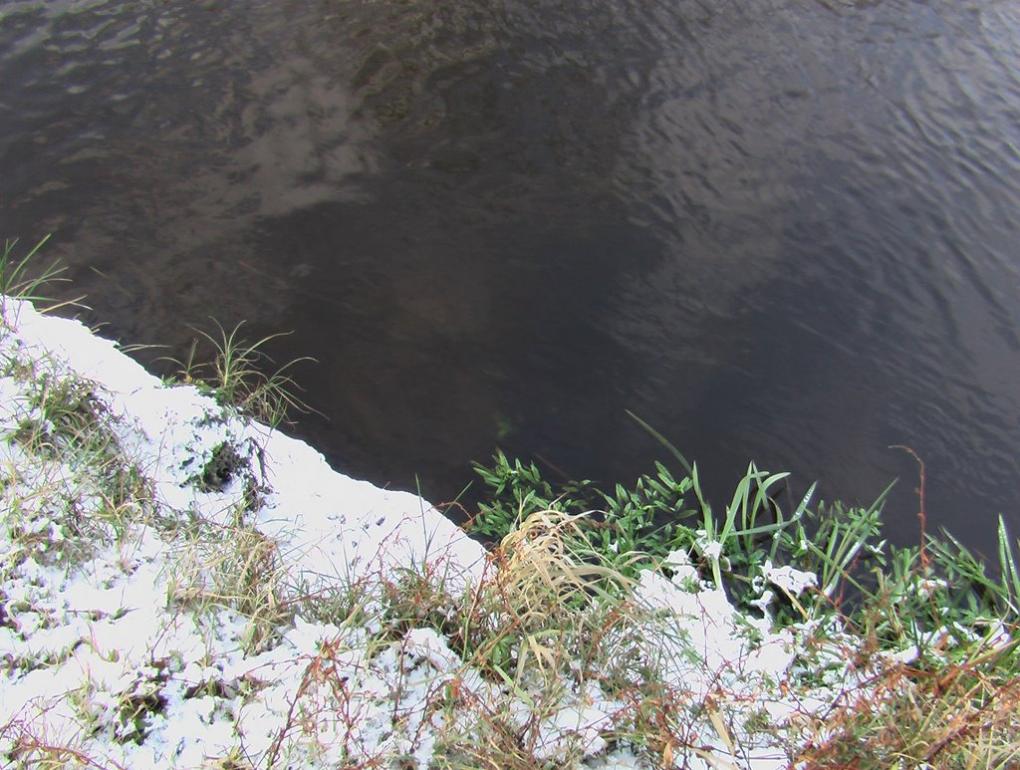 Скоморохи з panoramio.com - Скоморохи