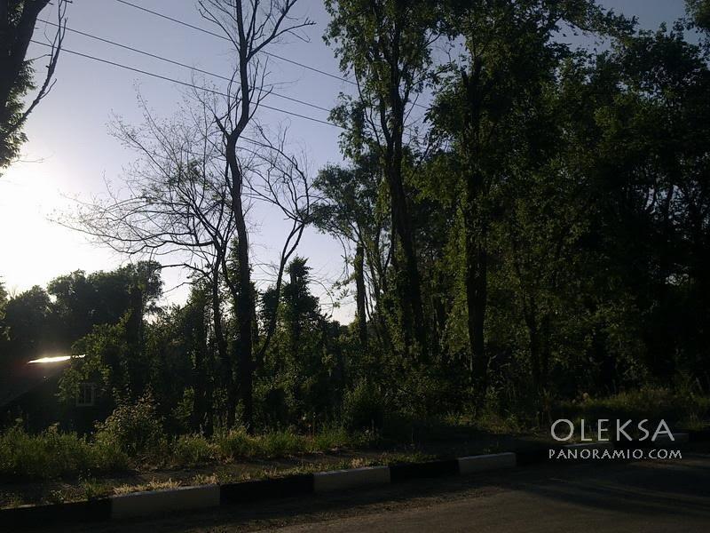 Піщане з panoramio.com - Песчаное
